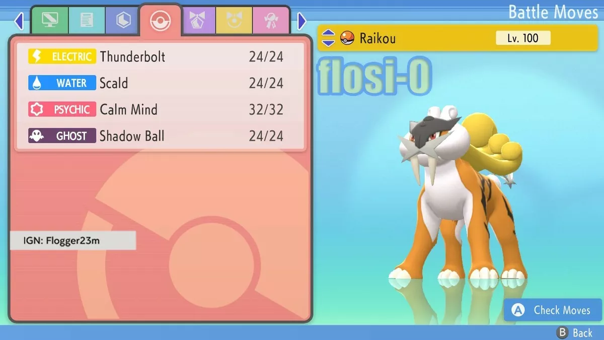 6IV Shiny Raikou Pokemon Brilliant Diamond and Shining Pearl