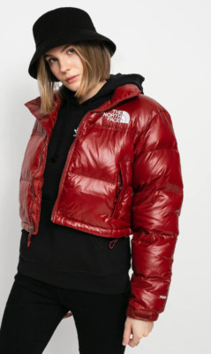 used north face puffer jacket