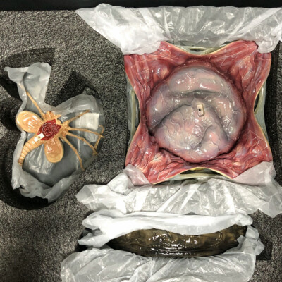 Prime 1 Studio ALIEN XENOMORPH EGG Open Version Limited Edition