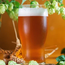 NORTHWEST IPA ALE Extract Beer Brewing recipe Homebrew kit Malt hops & grain