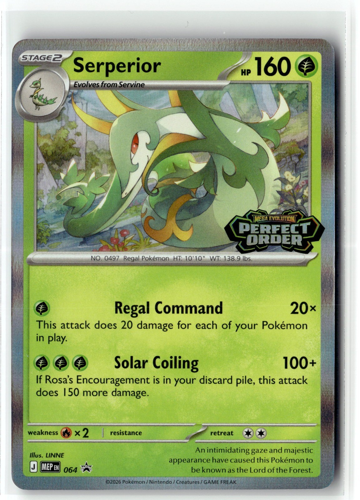 Serperior 064 Holo - Pokemon TCG ME: Mega Evolution Promo