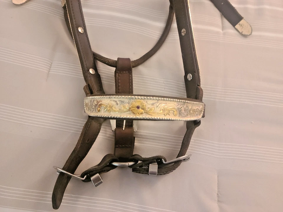 Beautiful Show Halter Quality Leather Silver Stones Full Size Horse EUC - Image 2 of 4