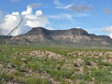 {{ BUY IT NOW MAKE OFFER AUCTION 10 AC  TX PROPERTY IN PRESIDIO TX NO ZONING.}}