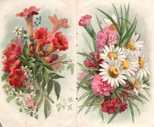 1880s-90s Industrial Insurance Flowers Colorful Trade Card