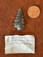 Rare Spanish Gastropod Fossils | Lwr Jurassic & Cretaceous | Full Locality Data