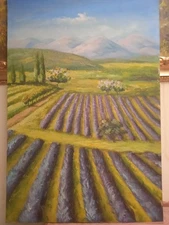 Landscape painting hand painted oil on canvas 60x90 cm with subject frame