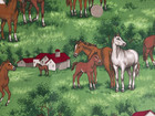 1 2/3 Yards Fabric Horses Farm Red Barn Cotton 44" Wide Vintage 1970s 80s G — photo 4