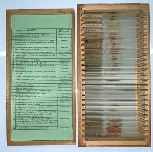 TURTOX Microscope Slide Set HUMAN Histology PATHOLOGY Embryology ORGAN SYSTEMS - Picture 1 of 9