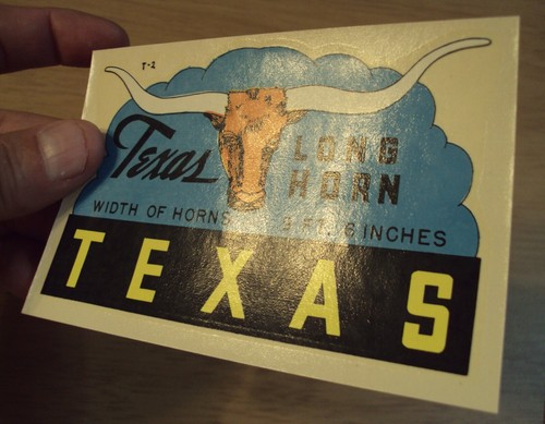 Vintage 1950er Souvenir Reise Fenster Transfer Aufkleber ~ "Texas Long Horn" ~ - Bild 2 von 6