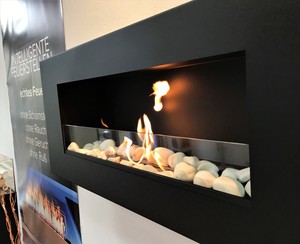 TÜV Kamin Biokamin Wandkamin Cheminée mit Glasscheibe+Birken Deko