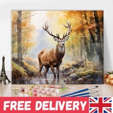 Relaxing Deer Paint by Numbers for Adults & Kids - Complete 16x20 Set
