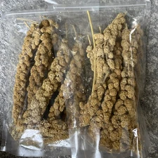 Bird Food for Mynah & Hill Myna, Premium Feed with German Probiotics 0.85lb