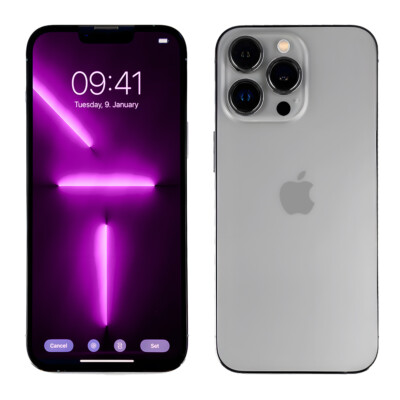 Apple iPhone 13 Pro Silber 256 GB Hervorragend Neuwertig (Ohne Simlock) 