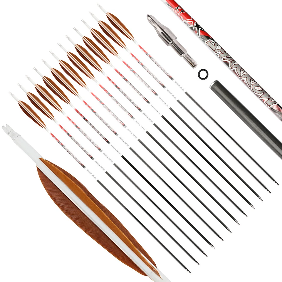 32" Pure Carbon Arrows 5" Feather SP300-800 Recurve Compound Bow Archery Hunting - Image 3 of 4