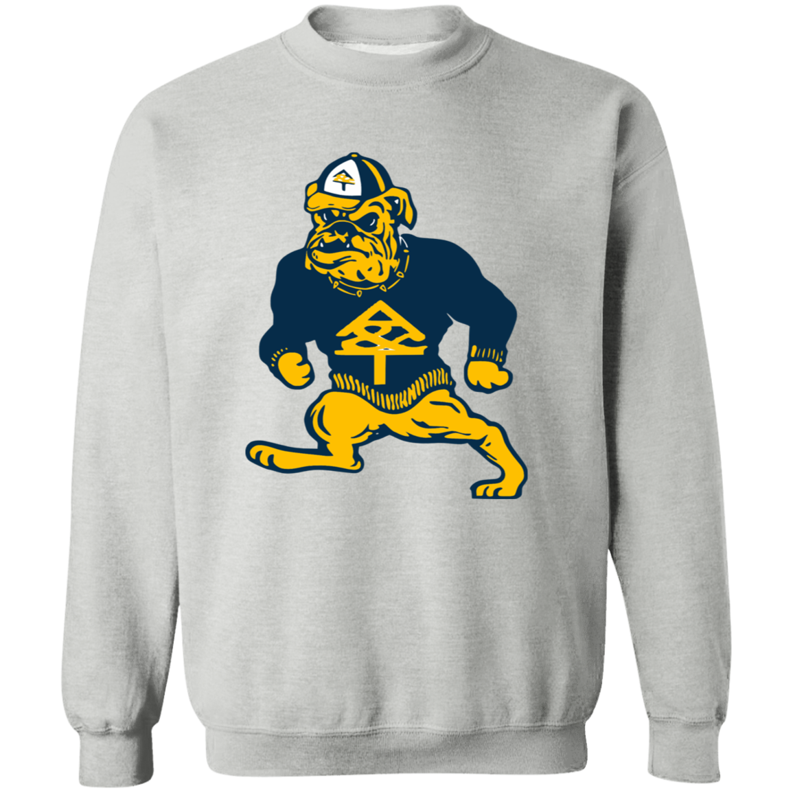 North Carolina A&T HBCU Sweatshirt - Stylish College Apparel for Fans