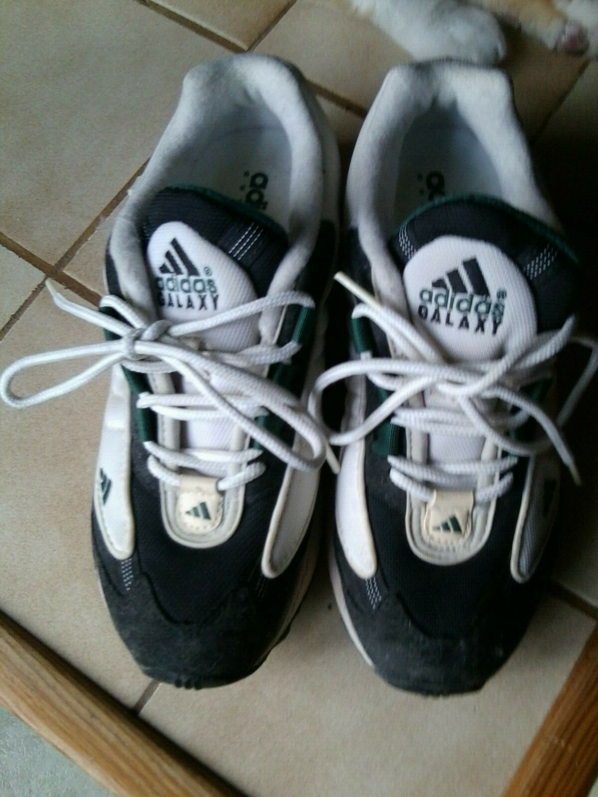 adidas galaxy adiprene