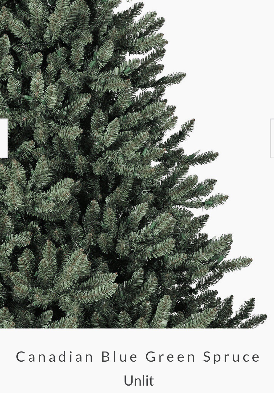 Balsam Hill Christmas Tree 12FEET! Unlit. Used Once! RRP £1199! eBay