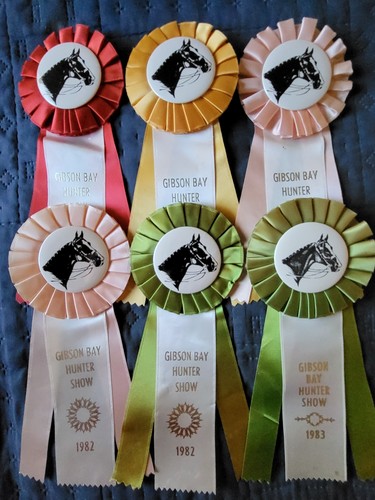 Gibson Bay Hunter Horse Show Ribbons Vintage Awards Equestrian Events 1980's