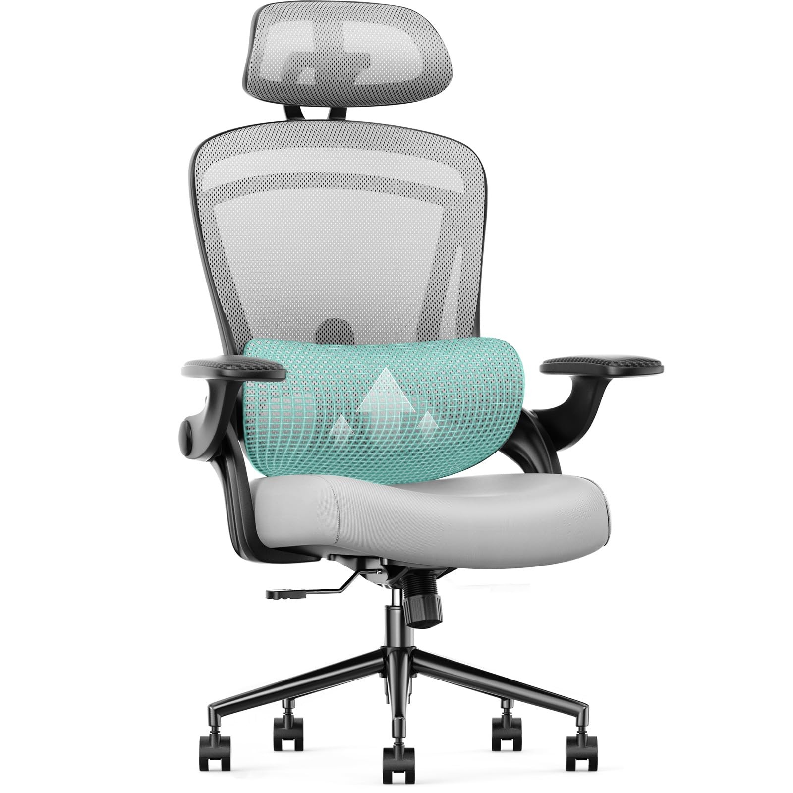 Ergonomic Office Chair, High Back with 2D Headrest, Up&Down Lumbar Support, S...