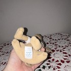 Taco Bell Yo Quiero Taco Bell Chihuahua Plush Stuffed Animal w/ Shirt 1998 — photo 4