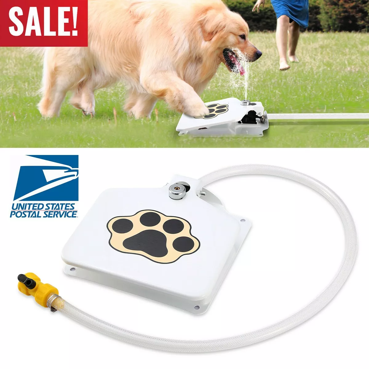 Paw activated top drinking fountain