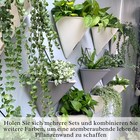Self-Watering Wall Planters 12 Inch - 2 Pack Indoor Succulent Hanging Pots
