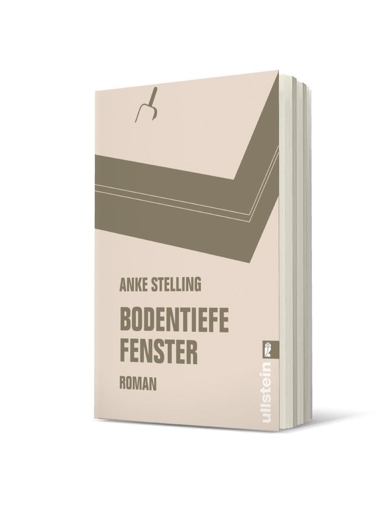 Thumbnail - Bodentiefe Fenster | Anke Stelling | 2016 | Deutsch