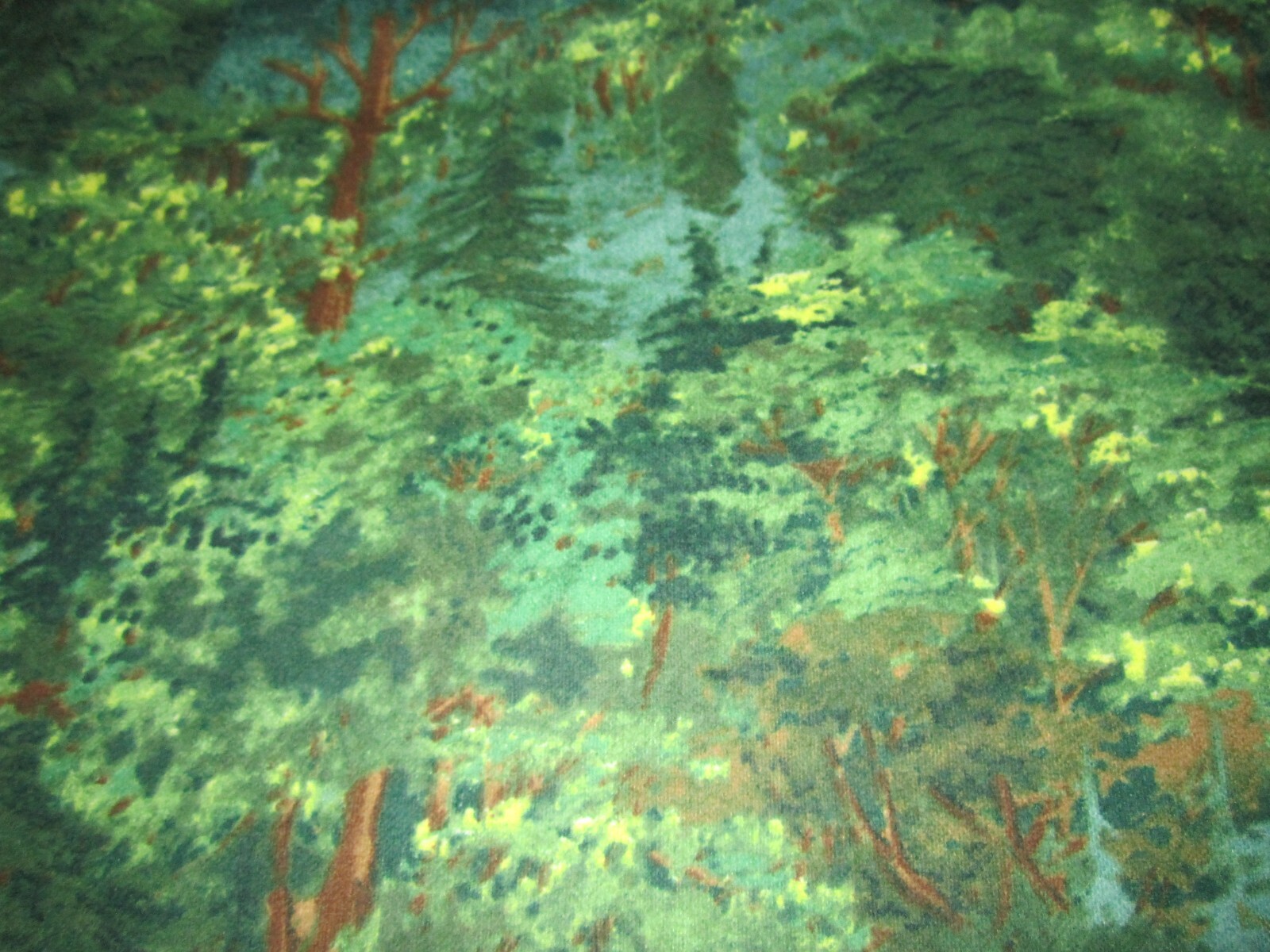 Picture 7 of 7