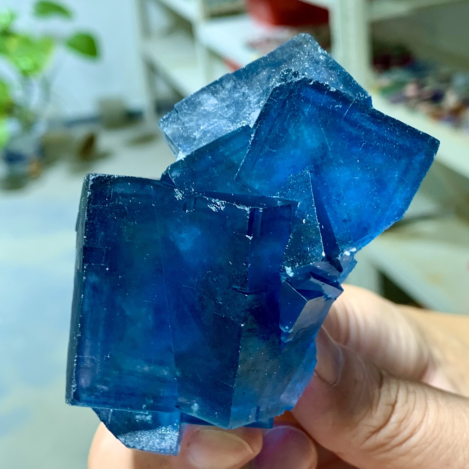 76G Transparent Blue-Green Cubic Fluorite Crystal Specimen from China