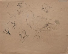 Kuno Lentz Animal Study Dove Head Study Signed Pencil Drawing