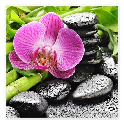 Poster Zen-Steine und rosafarbene Orchidee