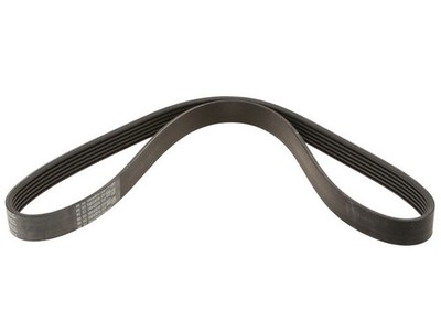ContiTech Multi Rib Belt fits BMW 528i 2012-2016 38XMBBTX