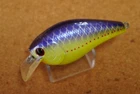 Lucky Craft    RC 1.5       (P799MY3
