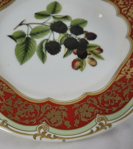 Platos Winterthur Andrea By Sadek tazas a juego bayas rojo verde borde dorado - Imagen 10 de 10