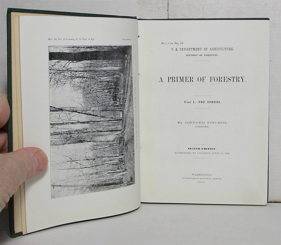 Gifford Pinchot, A Primer of Forestry Part I, 1900 2nd edition eBay