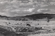 Grazing land between Birney and Lame Deer, Montana 4x6 photo  
