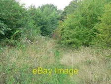Photo 6x4 North-west end of Kirkstall Valley Nature Reserve This little p c2006