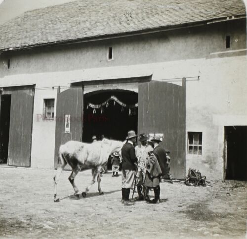 Frankreich Pferdestall Hufeisen Foto c1910 Stereo Platte De Verre Vintage - Bild 1 von 2