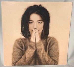 Bjork Debut | eBay