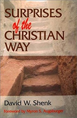 Surprises of the Christian Way Paperback David W. Shenk