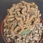 Foto 10 di 24