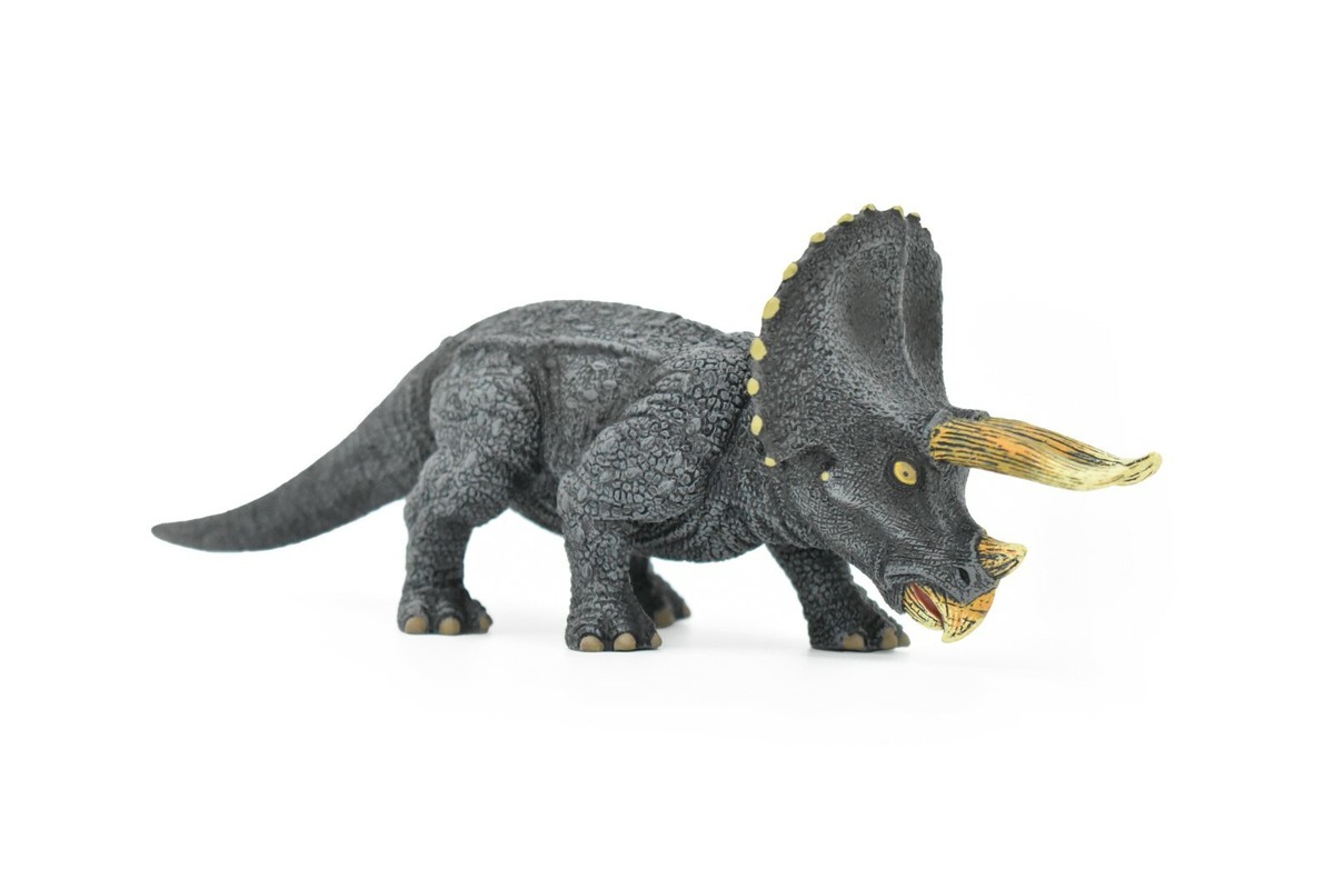 Triceratops Dinosaur, Museum Quality Plastic Replica 8