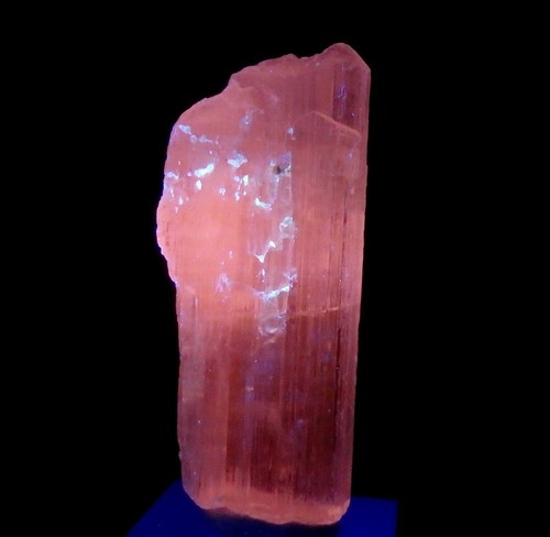 SPODUMENE var. KUNZITE big crystal & LW fluorescent ! ! AFGHANISTAN Kunar /pk099 - Picture 5 of 16