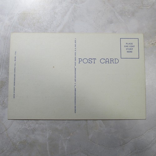 Florida State - Vintage and Antique Postcards Ephemera Americana - You Pick - Picture 39 of 99