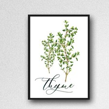 thyme herb print PICTURE kitchen plant WALL ART A4 unframed poster gloss