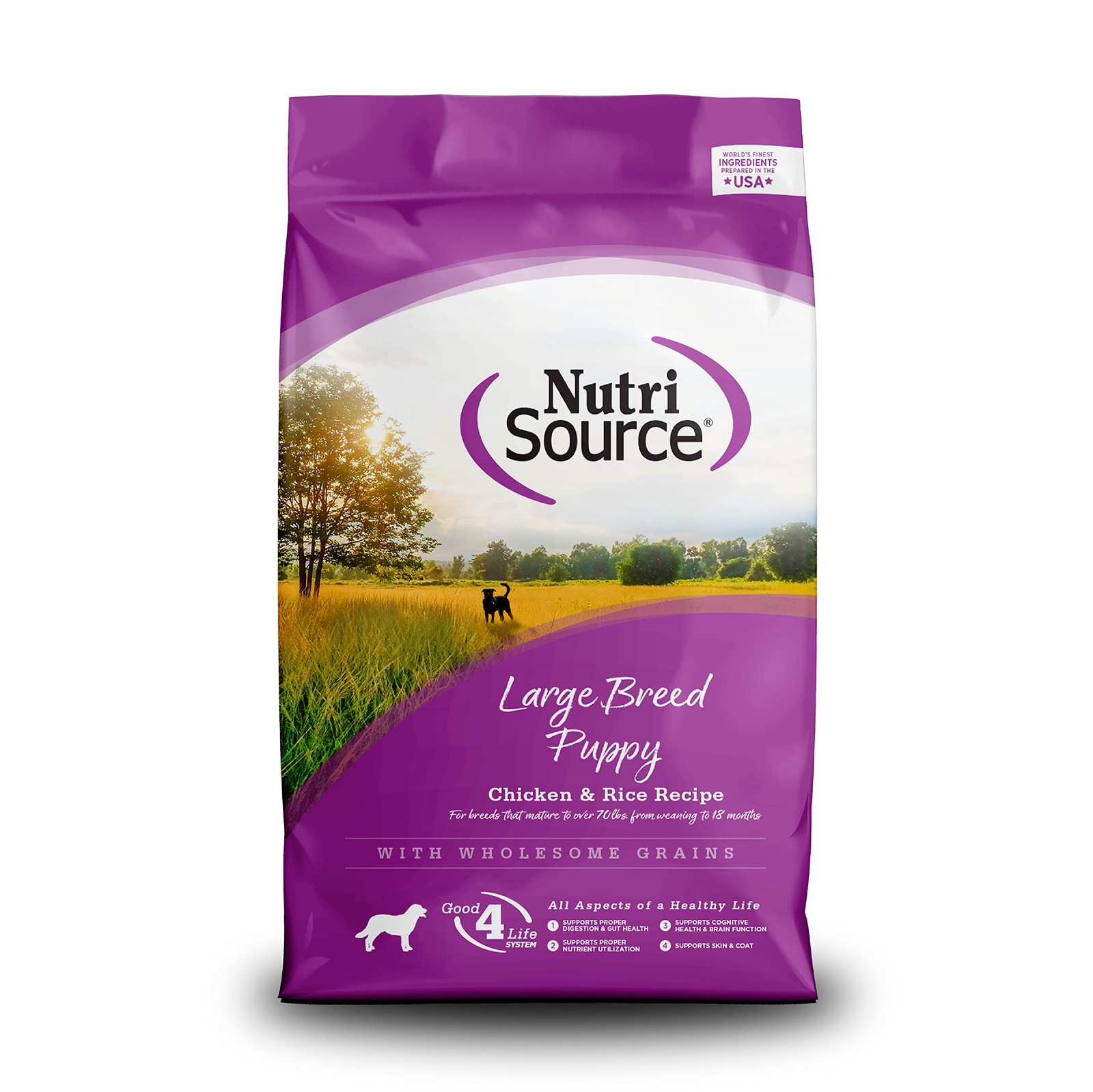 Large Breed Puppy Chicken & Rice Dry Dog Food Size: 1.5-Lb Bag
