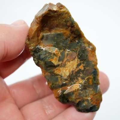 Morrisonite Jasper Rough - Old Stock Dominant Green Blue Pattern Trimmer