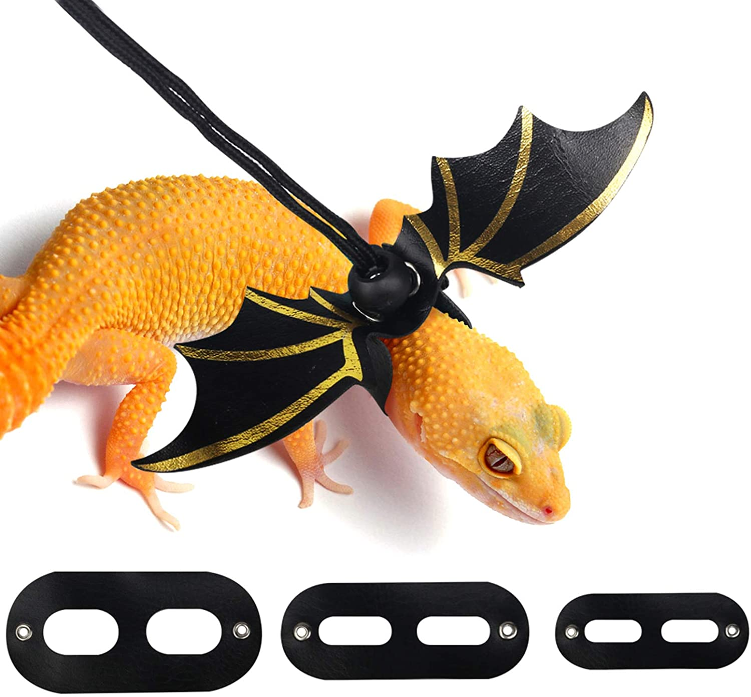 gecko leashes