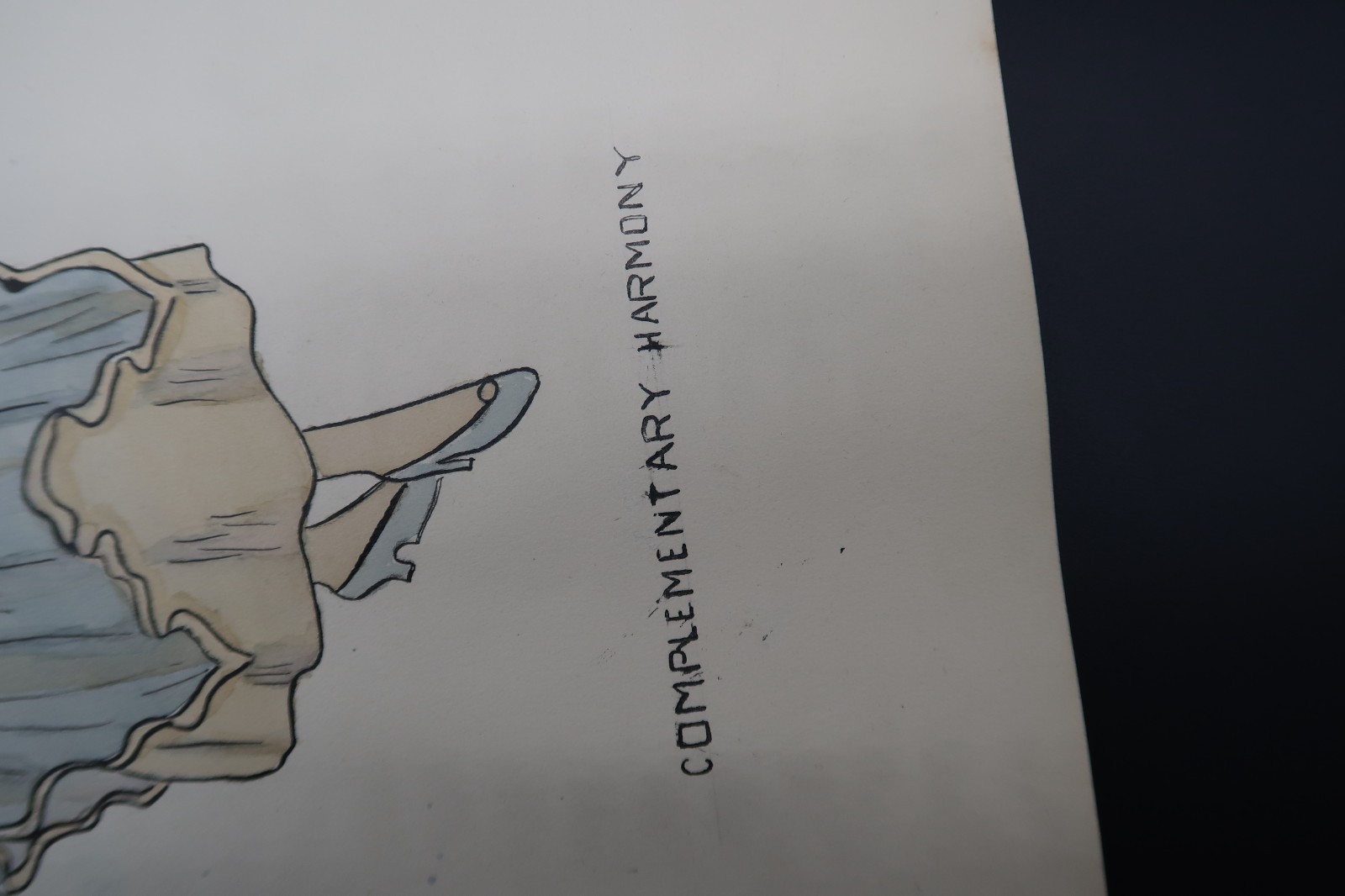 Picture 6 of 16