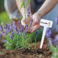 Large Acrylic Herb Garden Markers 11.8 x 3.3 Inch T-Type Plant Label Signs Wa...